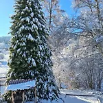 Le Familial Avec Spa, Sauna Salle De Jeux Tatil Evi Xonrupt-Longemer